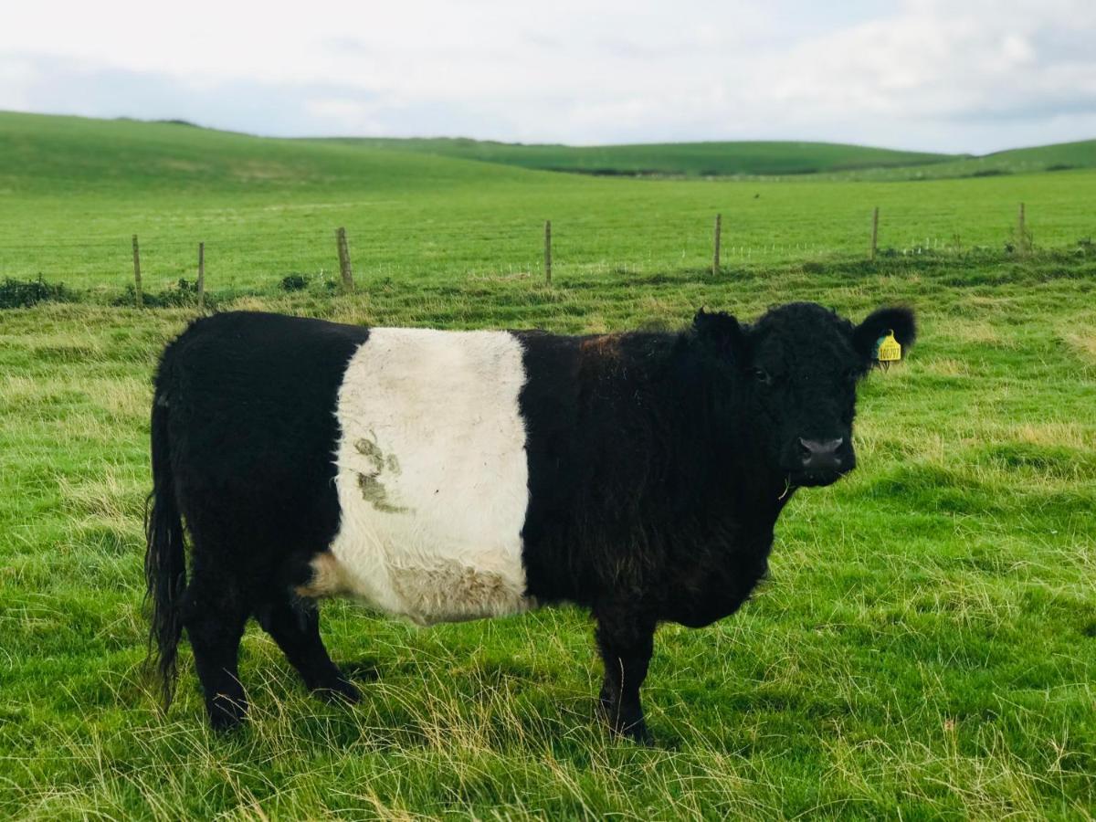 Bunnahabhain 5 - Farm Stay - Stunning Sea And Rural Views Stranraer Exterior foto