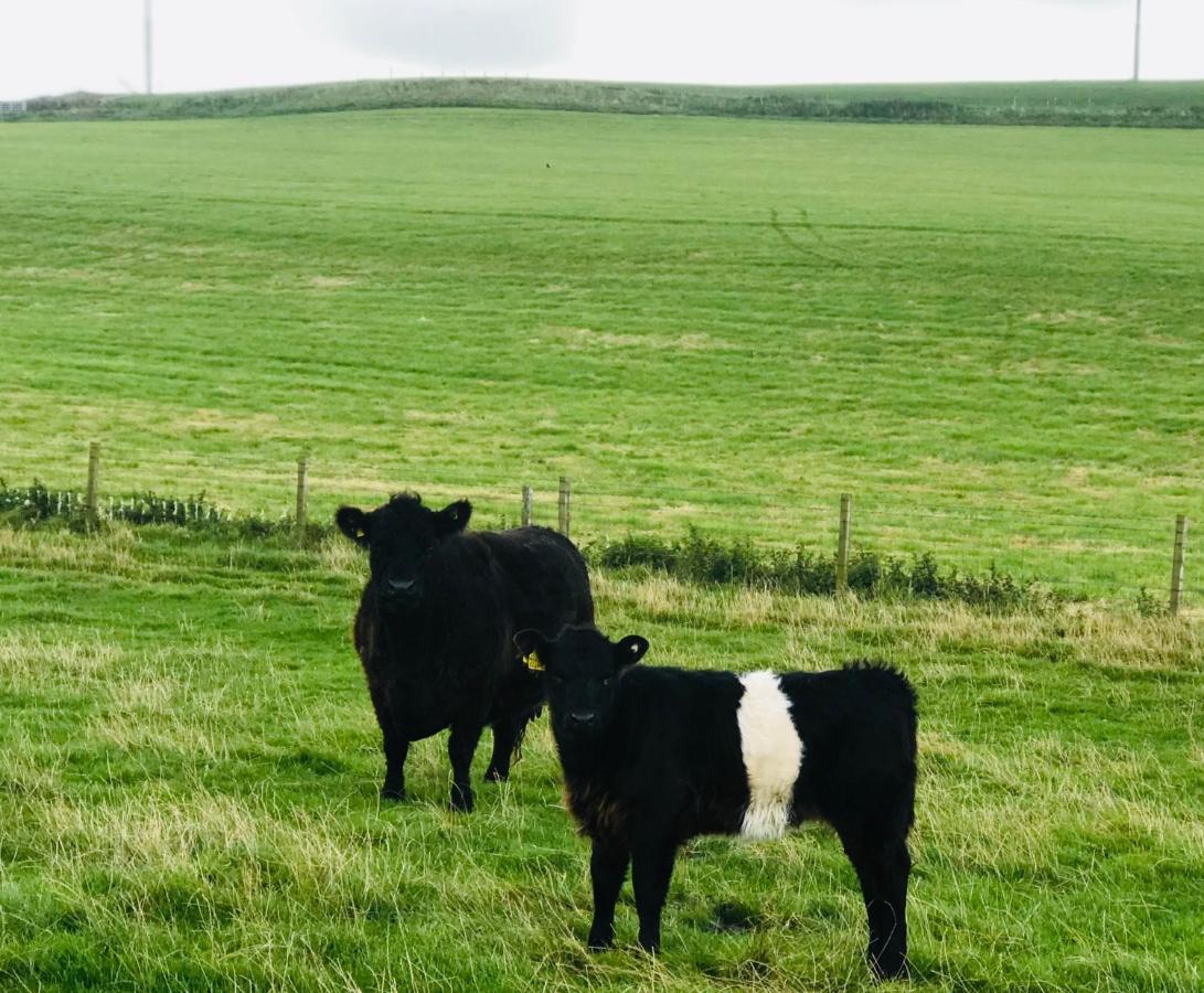 Bunnahabhain 5 - Farm Stay - Stunning Sea And Rural Views Stranraer Exterior foto