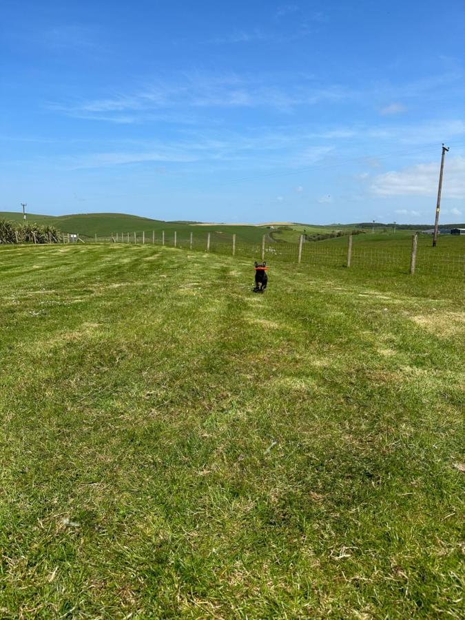 Bunnahabhain 5 - Farm Stay - Stunning Sea And Rural Views Stranraer Exterior foto